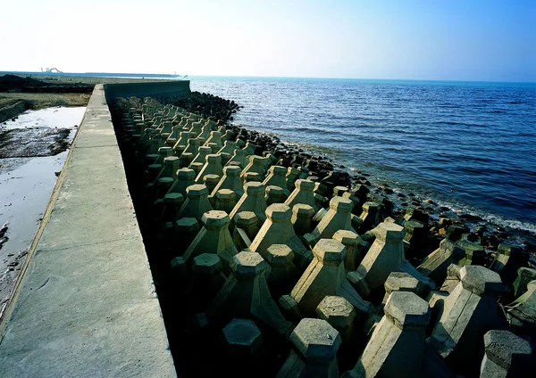 自然を背景にしたコンクリート製の防波堤があるビーチの桟橋 — ストック写真