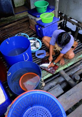 Balıklı Asyalı adam markette çalışıyor.