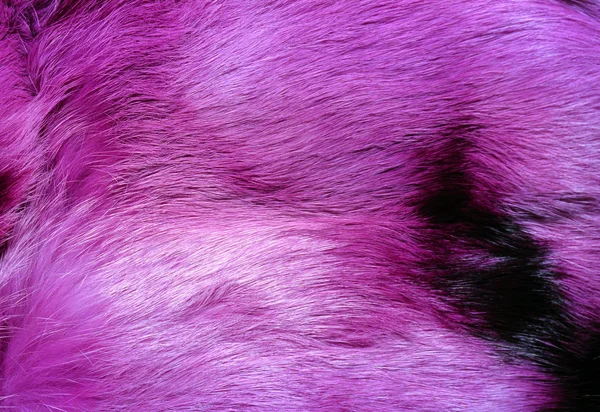 Print of purple fur texture