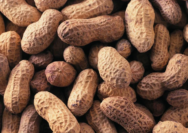 fıstık pişirme arka plan