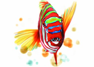 Colorful illustration of sea animal fish