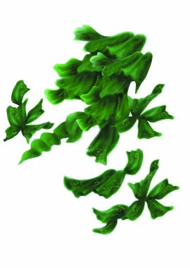 Colorful illustration of seaweed on background