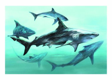 Akvaryumdaki köpekbalıkları doğa arka planında