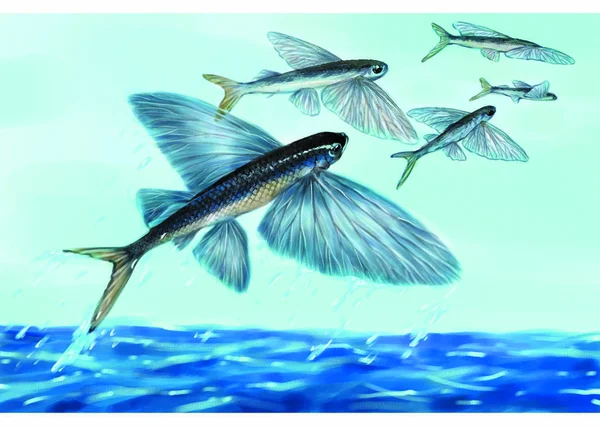 Ручная Иллюстрация Морской Жизни — стоковое фото