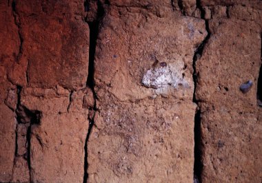 Arkaplan için renkli desen yakın plan. Soyut arkaplan