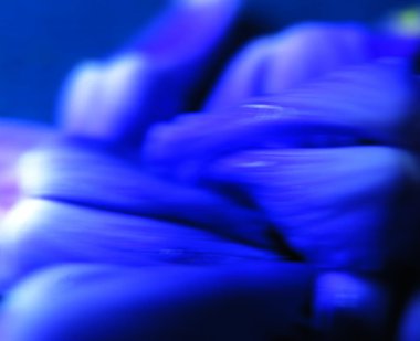 Arkaplan için renkli desen yakın plan. Soyut arkaplan