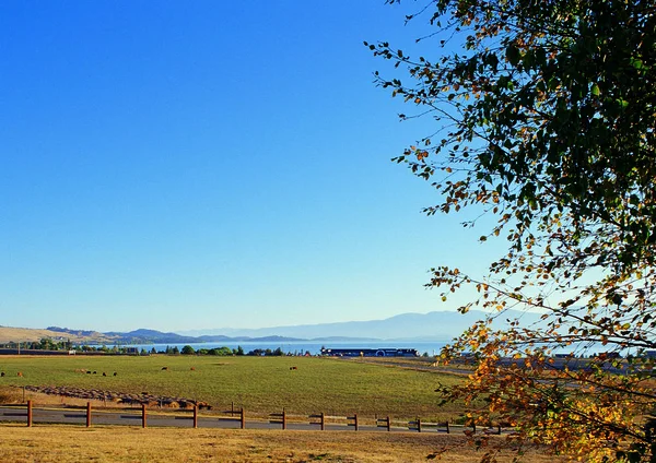 Landscape View Rural Countryside — Stock Photo, Image