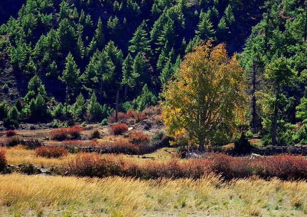 Vista Paisagem Campo Rural — Fotografia de Stock