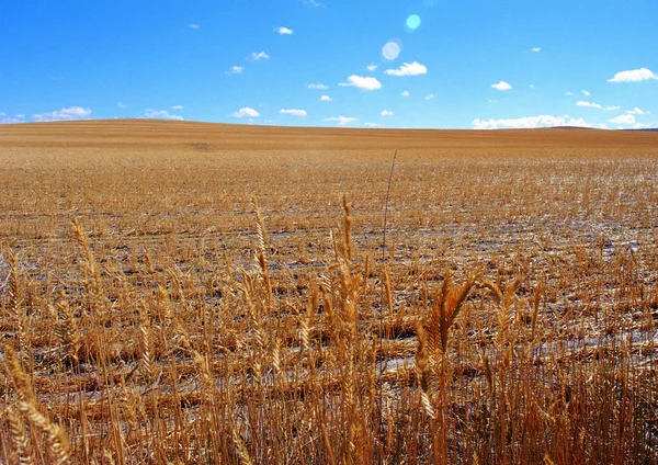 Landschaft Blick Auf Den Ländlichen Raum — Stockfoto