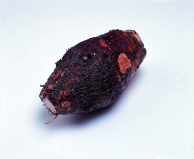 Taze ve sağlıklı sebzelere yakın çekim