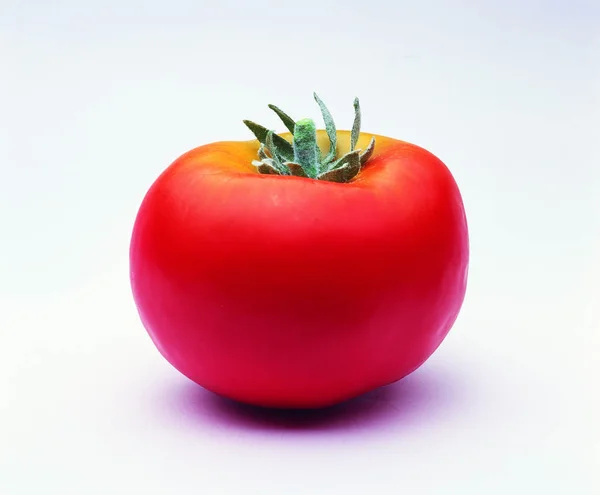 Tomate Mûre Sur Fond Blanc — Photo