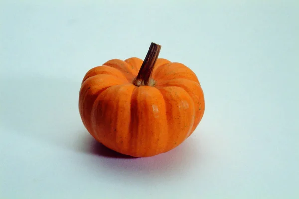 Closeup Fresh Healthy Pumpkin — Stock Photo, Image