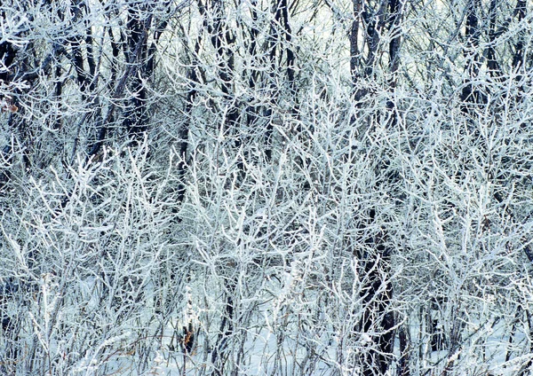 Malowniczy Widok Górską Przyrodę Błyszczący Zimowy Dzień — Zdjęcie stockowe