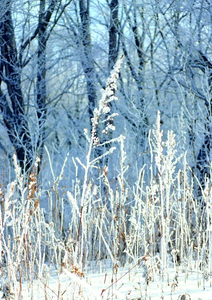 Vue Panoramique Sur Nature Montagne Lors Une Journée Hiver Brillante — Photo