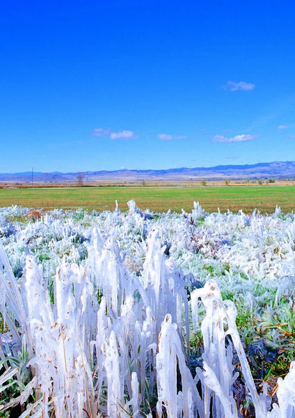 Vista Panoramica Della Natura Montana Una Giornata Invernale Splendente — Foto Stock