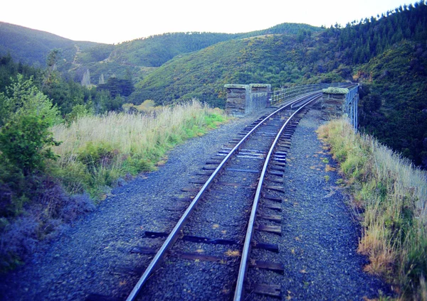 Railway Tracks Forest Travel Place Background — Fotografia de Stock