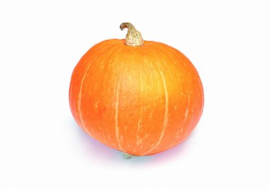 beyaz arkaplanda kabak