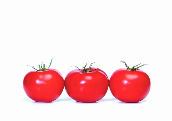 Tomaten Witte Achtergrond — Stockfoto