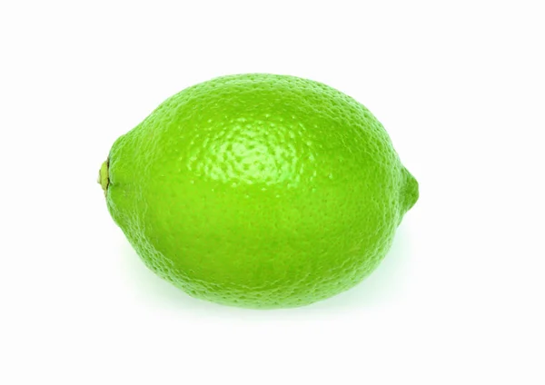 Lime Білому Тлі — стокове фото