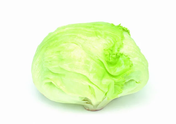Cabbage White Background — Stock Photo, Image