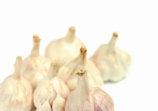 Close View Garlic — Stock Photo, Image