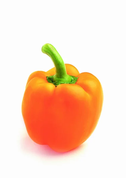Kleurrijke Paprika Witte Achtergrond — Stockfoto
