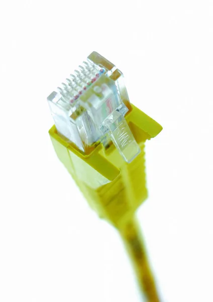 Beyaz Zemin Üzerinde Ethernet Kablosu — Stok fotoğraf