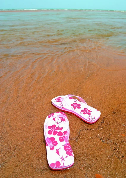 Біло Рожеві Фліп Флоп Пляжі — стокове фото