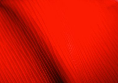 Kumaş arkaplanı görünümünü kapat