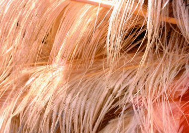 tüylerin arka planının yakın görünümü
