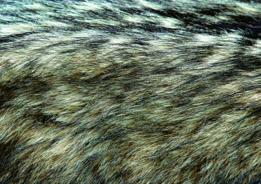 kürk arka plan yakın görünümü