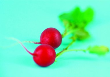 Turp görünümünü kapat