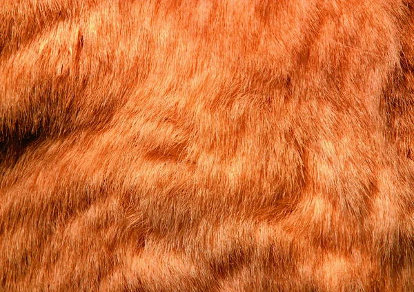 毛皮の背景のクローズアップビュー — ストック写真