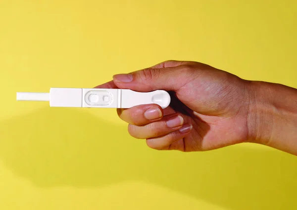 human hand holding pregnancy test