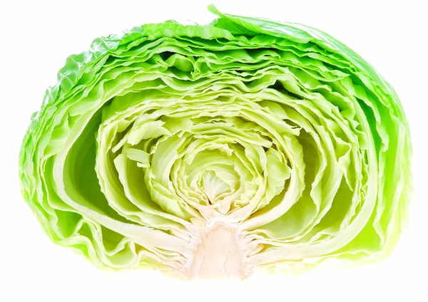 Close View Cabbage — Stock Photo, Image