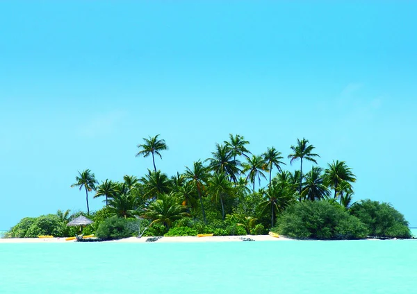 Bela Praia Tropical Com Palmeiras — Fotografia de Stock