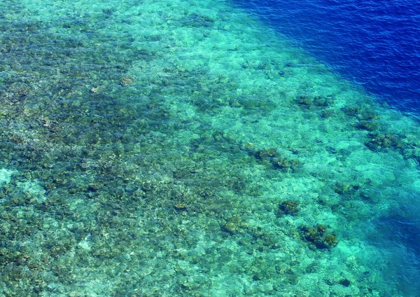 Acqua Limpida Nel Mare — Foto Stock