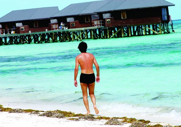 Junger Schöner Mann Einem Tropischen Meer — Stockfoto