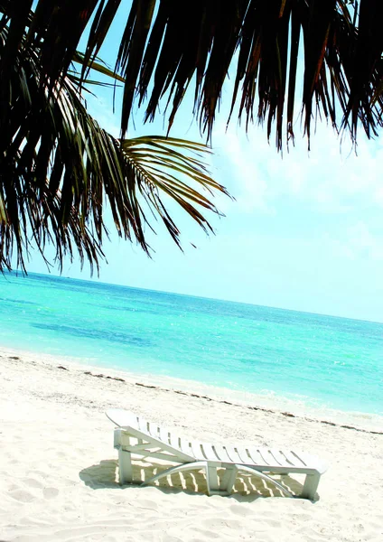 Tropische Insel Mit Strand — Stockfoto