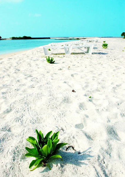 Isla Tropical Con Una Playa — Foto de Stock