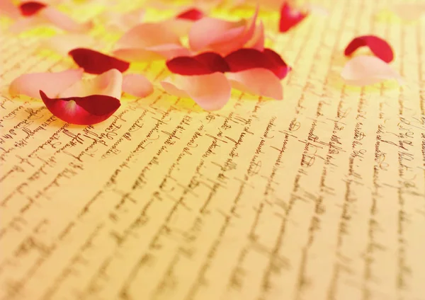 Carta Casamento Pétalas Rosa — Fotografia de Stock