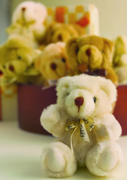 Beautiful Toy Teddy Bears — Stock Photo, Image