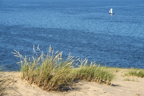 Песчаные Дюны Травяной Пейзаж Синим Морем Белым Парусом Заднем Плане — стоковое фото