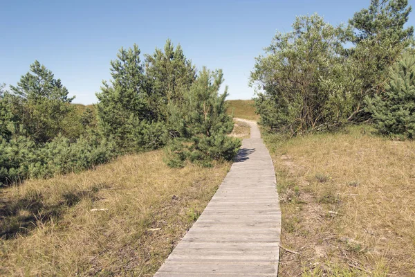 Ecologische Houten Traject Kustgebieden Bosgebied Buurt Van Oostzee Litouwen — Stockfoto