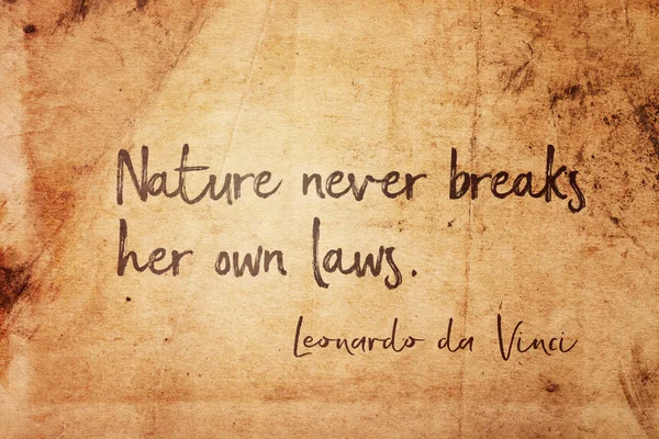 Natureza Nunca Quebra Suas Próprias Leis Antiga Artista Italiana Leonardo — Fotografia de Stock
