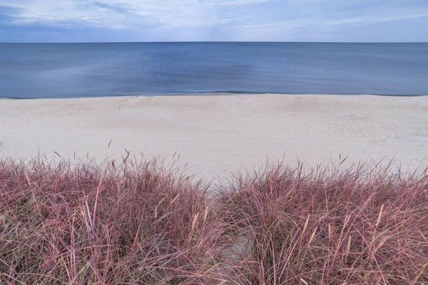 空の砂のビーチと青い海の近くに赤い草シュールなミニマルな赤外線風景 — ストック写真