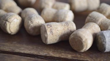Şampanya mantarları portre