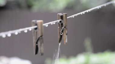 yağmur altında ahşap pimleri