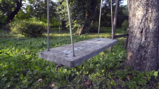 Rope swing door avond — Stockvideo