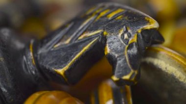 closeup satranç taşları